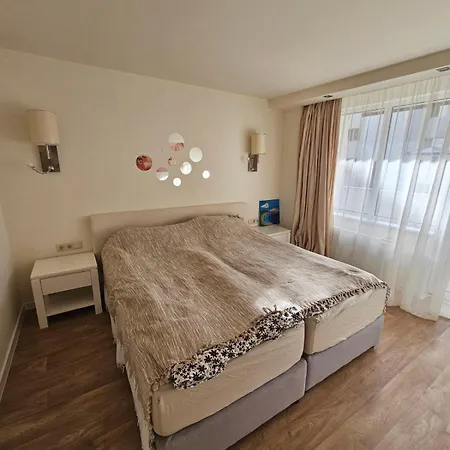 Sunlit Forest Боровец