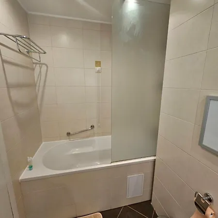 Sunlit Forest Borovets