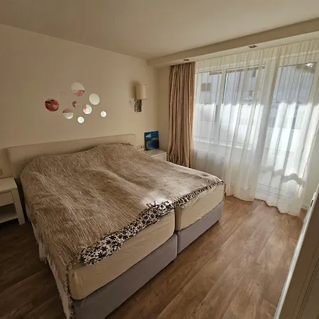 Sunlit Forest Borovets