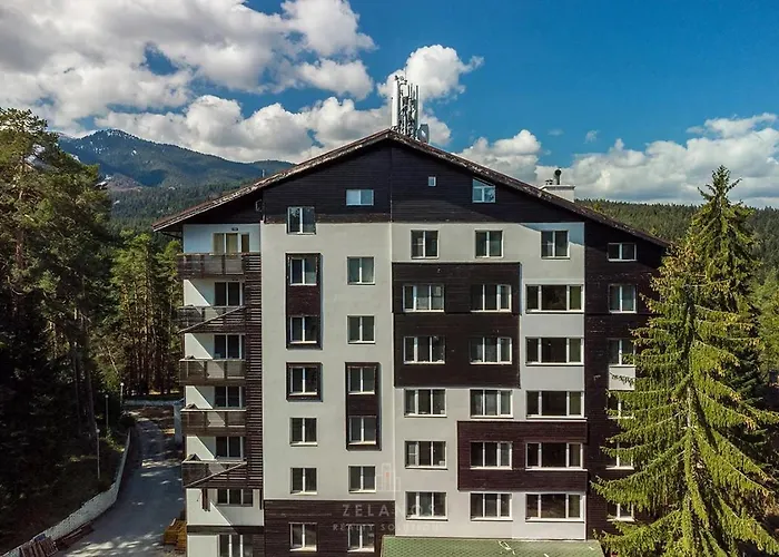 Sunlit Forest Appartamento