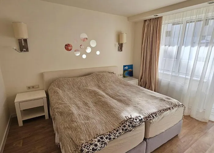 Sunlit Forest Borovets