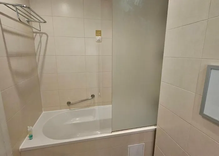 Sunlit Forest Borovets