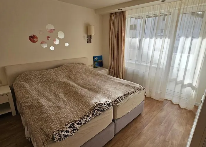 Sunlit Forest Боровец